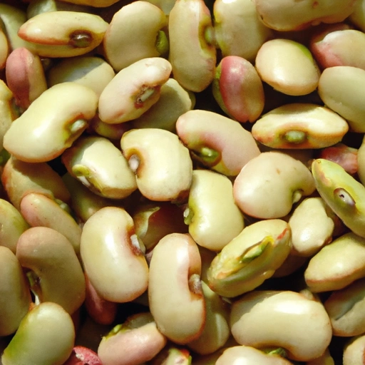 Baby Lima Bean