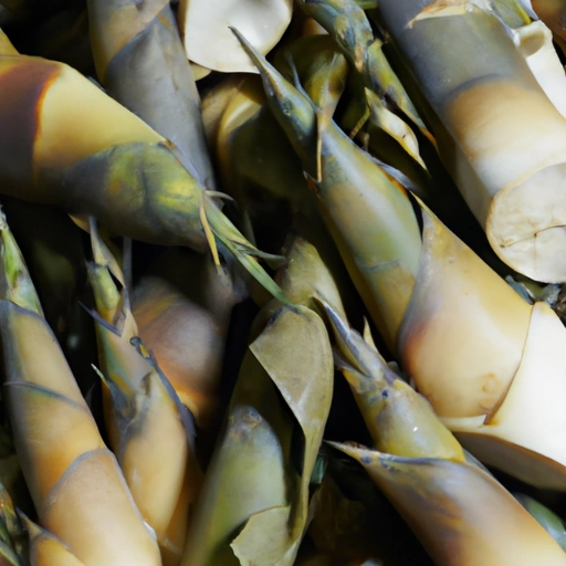 Bamboo Shoot