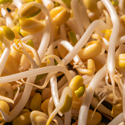 Soybean Sprout